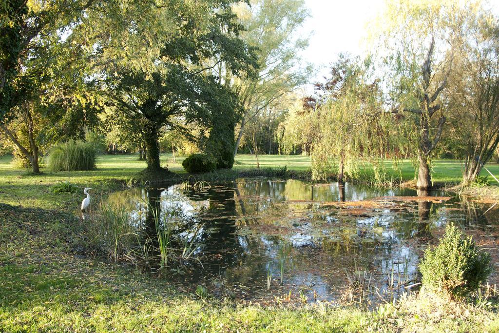 Maison Pres De L'Eau Л'Иль-сюр-ла-Сорг Экстерьер фото